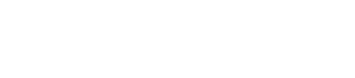 Virtuallies Hub